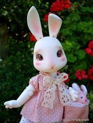 娱乐吃瓜酱兔圆圆,揭秘娱乐圈那些不为人知的幕后故事