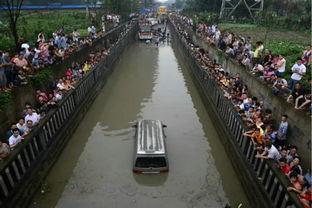 吃瓜群众是贬义还是褒义,网络时代的双重面孔解析
