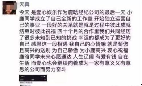 喜欢吃瓜娱乐圈做什么,娱乐圈的甜蜜诱惑与麻辣点评