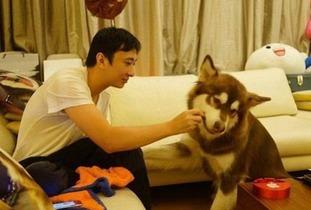 娱乐吃瓜酱救狗还是救人