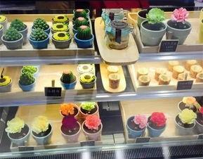 娱乐吃瓜酱无锡蛋糕店