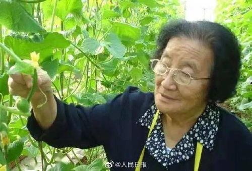 娱乐圈吃瓜熊婶是谁的孩子,揭秘“吃瓜熊婶”背后的神秘之子