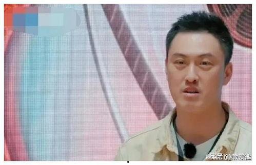 娱乐圈吃瓜爆料演员有哪些,揭秘明星背后的故事